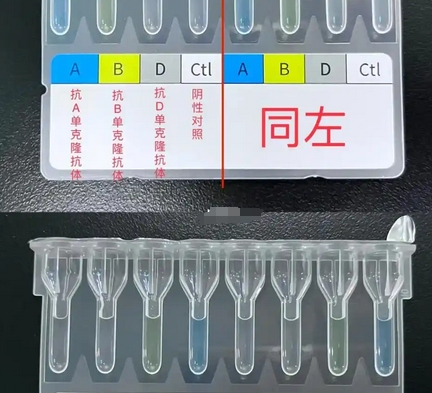 ORTHO Optix? 奧森多血型分析用柱凝集卡判讀儀